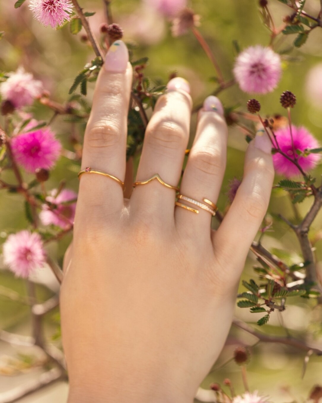 Anillo Acero, oro, homini studio