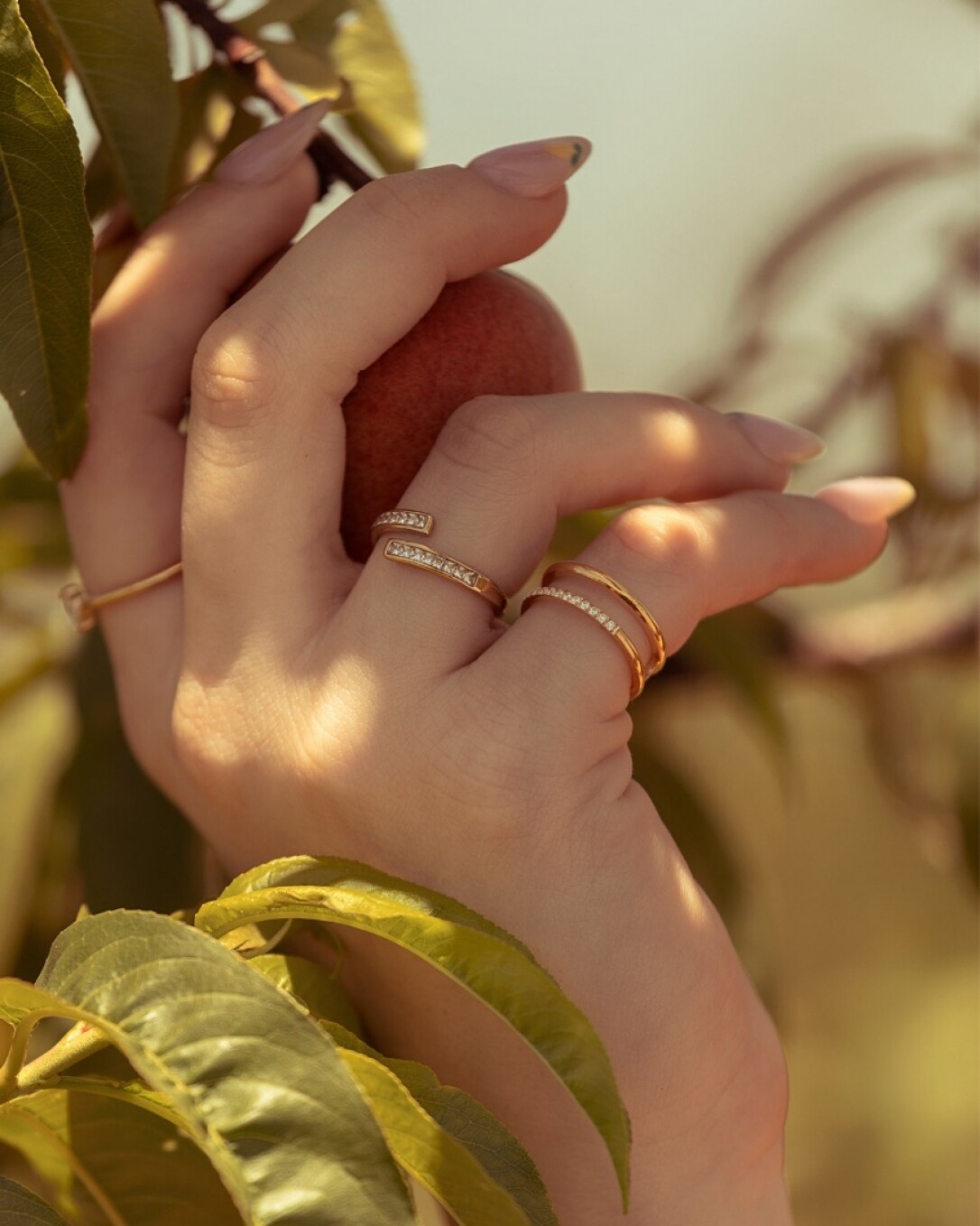 Anillo Acero, oro, homini studio