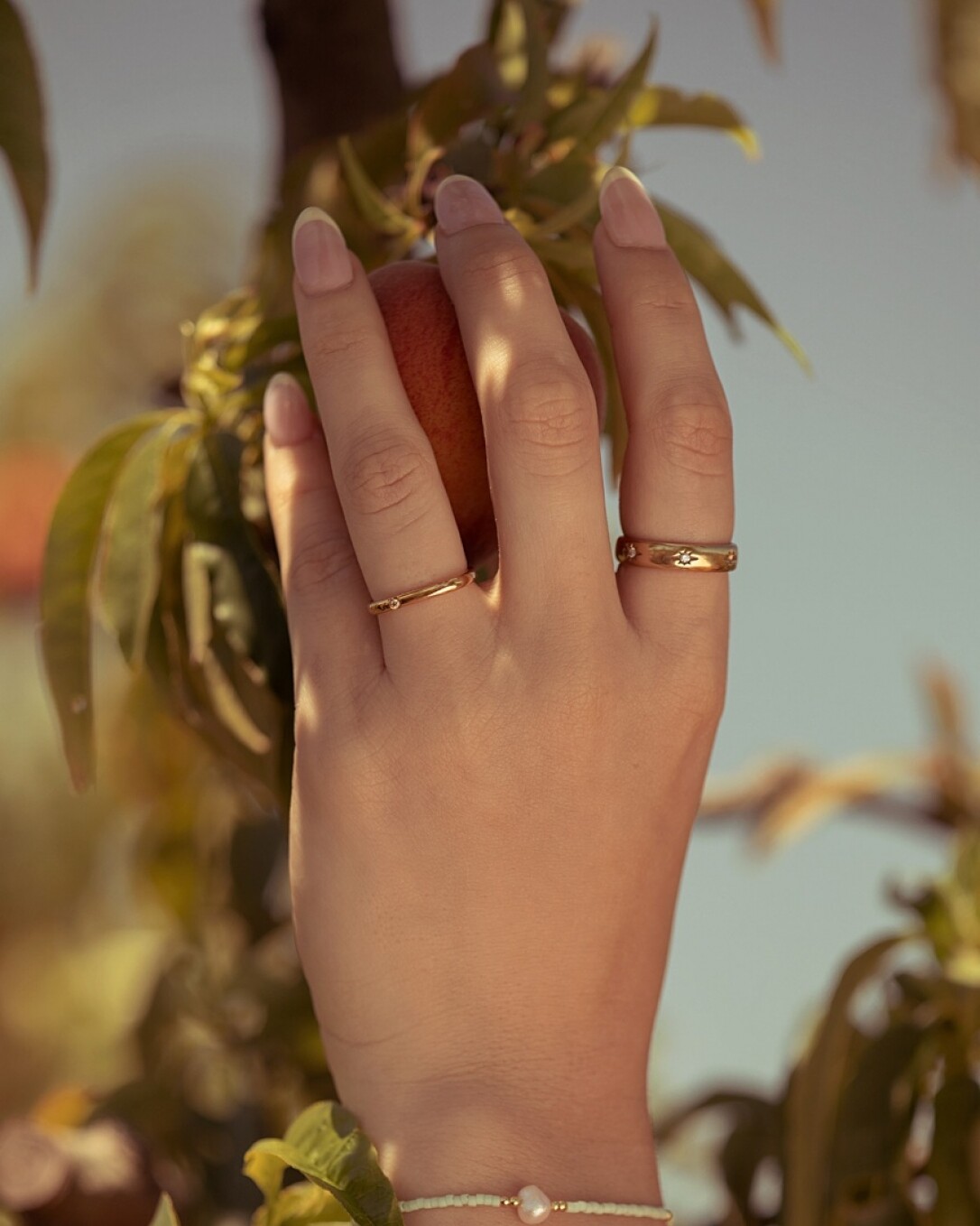 Anillo Acero, oro, homini studio