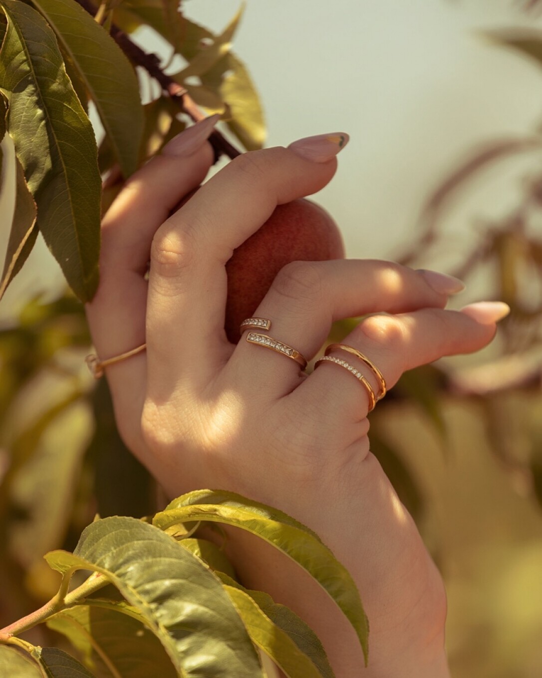 Anillo Acero, oro, homini studio