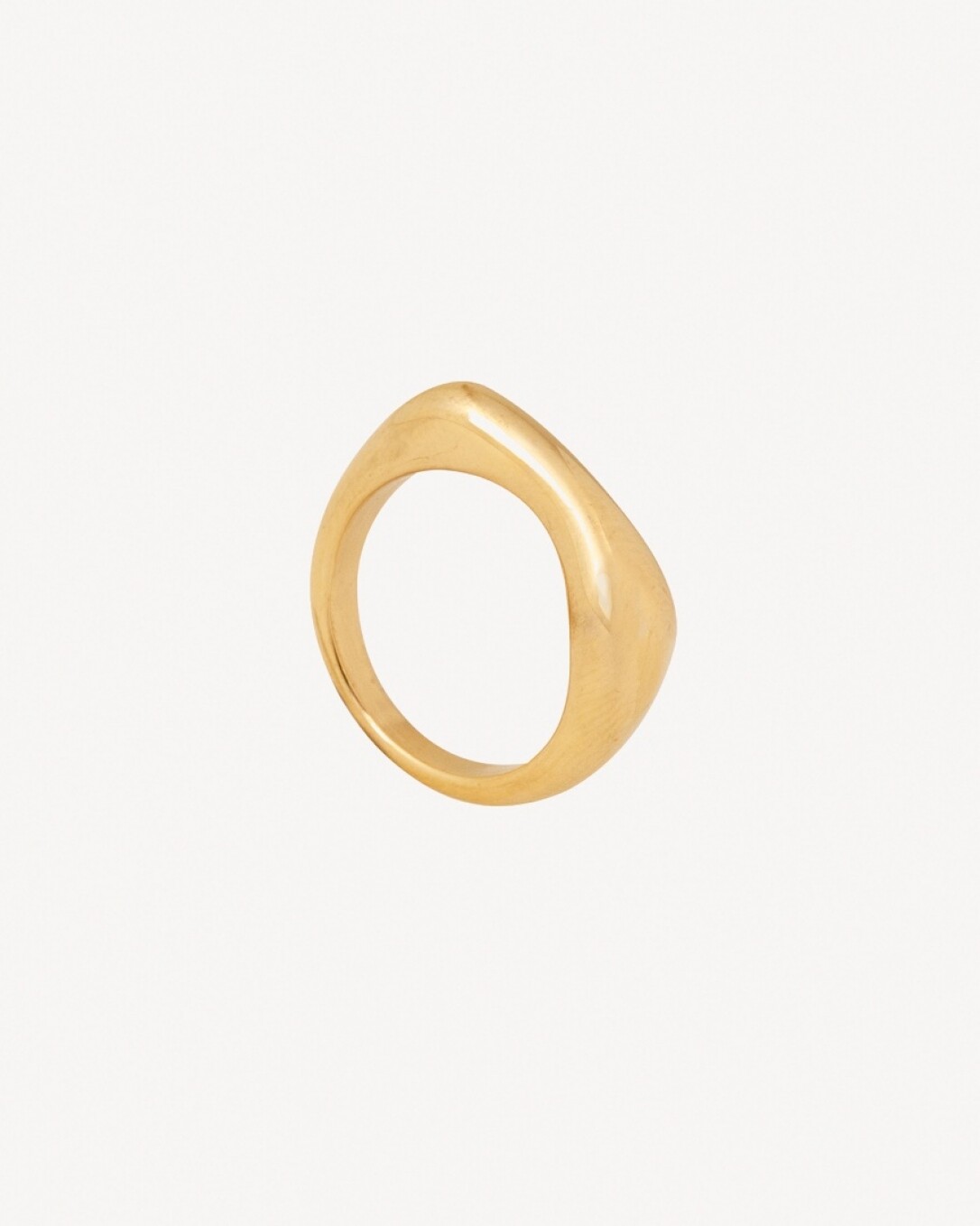 anillo de acero, homini studio