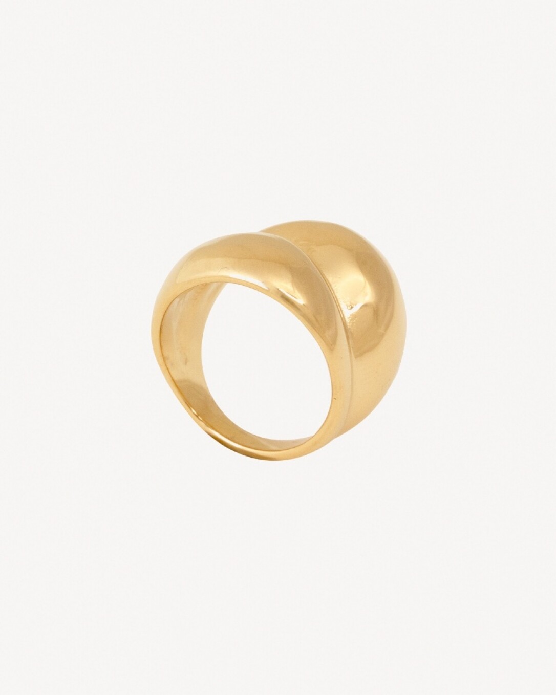 anillo de acero, homini studio