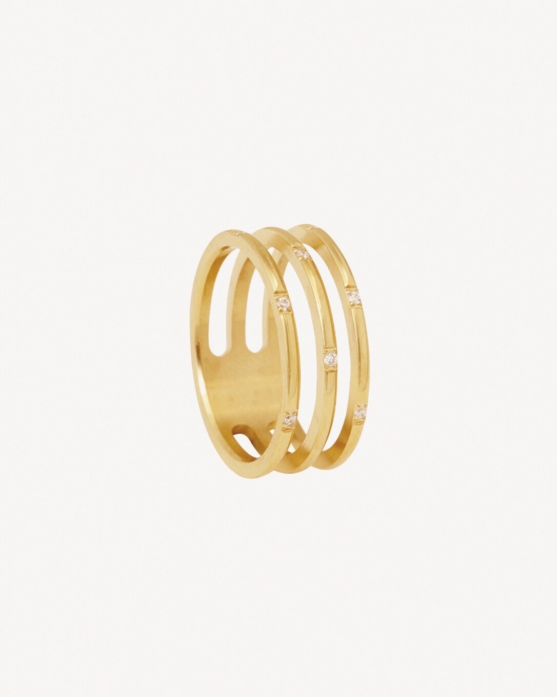 anillo de acero, homini studio