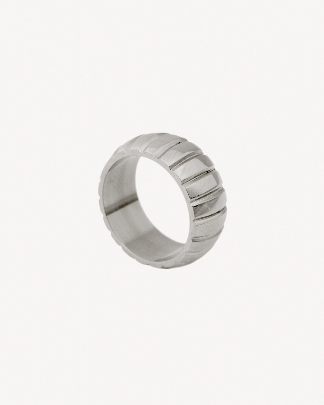 anillo de acero, homini studio