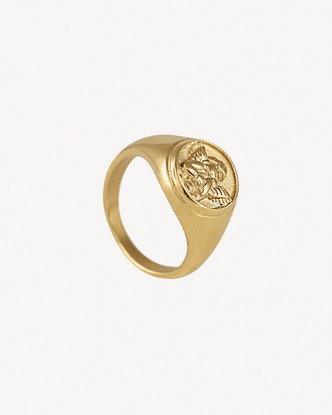 Anillo, acero quirúrgico, oro, homini studio